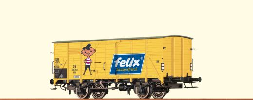 BRAWA 49711 H0 GÜW G10 DB III Felix (Spur H0)