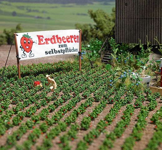 Busch 1265 Erdbeeren H0 (Spur H0)