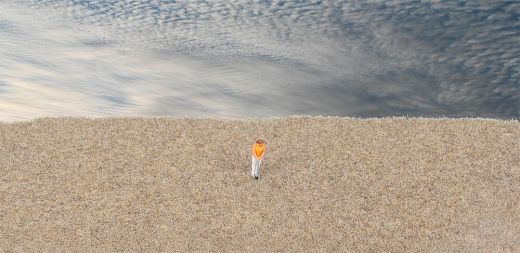 Faller 170200 Streufasern, Wintergras, 2-3 (Spur H0)