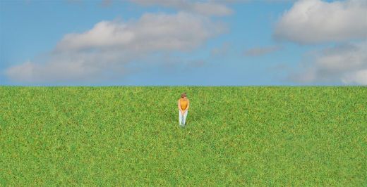 Faller 170212 Streufasern, grasgrün, 4 mm, (Spur H0)