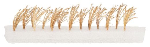 Faller 181287 26 Schilfpflanzen (Spur H0)