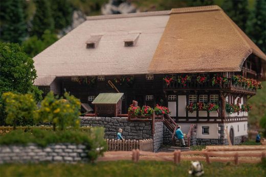 Faller 232010 Jubiläumsmodell Schwarzwaldho (Spur N)