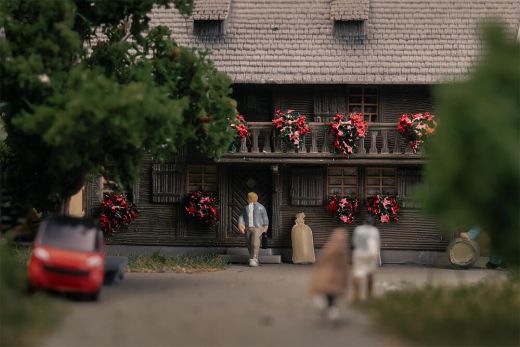 Faller 232011 Jubiläumsmodell Uhrenmacherhä (Spur N)