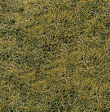 Heki 1578 HEKI decovlies Wildgras, Berg