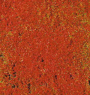 Heki 1588 decovlies Blumendecor rot 28x