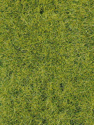 Heki 1856 decovlies Wildgras Waldboden, (Spur H0)