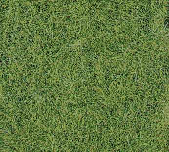 Heki 1870 Wildgrasmatte wiesengrün, 40x (Spur H0)