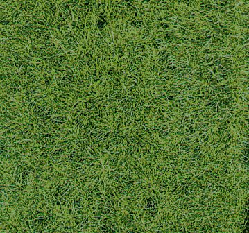 Heki 1871 Wildgrasmatte Waldboden, 40x2 (Spur H0)