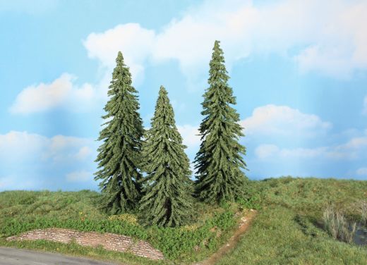 Heki 21800 3 Wetterfichten 18-22 cm