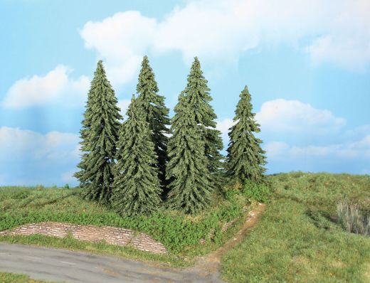Heki 21801 6 Wetterfichten 14-18 cm