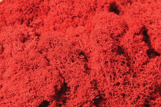 Heki 3213 Islandmoos rot 30 g (Spur H0)