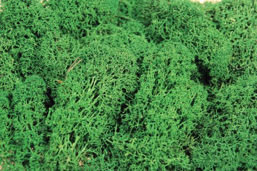 Heki 3231 Islandmoos dunkelgrün 250 g