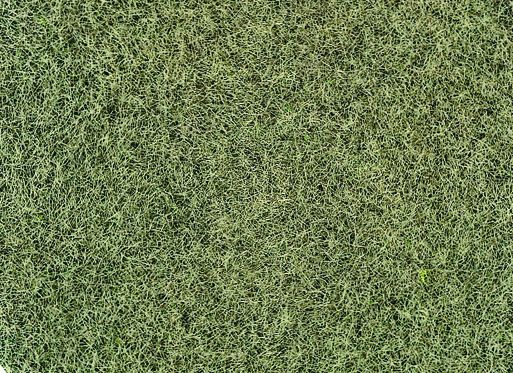 Heki 33540 Grasfaser Willdgras Wintergra (Spur H0)