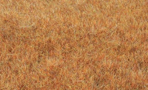 Heki 33545 Grasfaser Willdgras Spätherbst, 75 g, 5