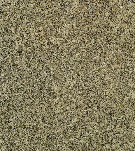 Heki 3363 Grasfaser Wintergras, 100 g, (Spur H0)