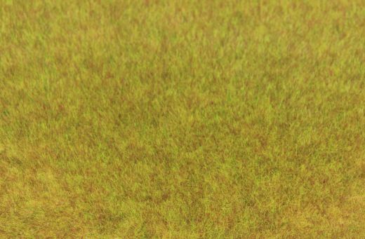 Heki 3371 Grasfaser Wildgras Herbst, 75 (Spur H0)