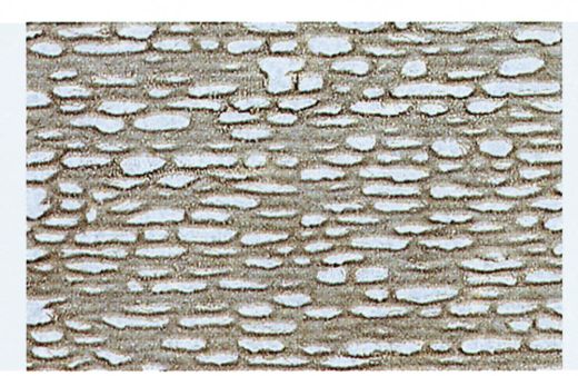 Heki 70112 rustikale Bruchsteinmauer N/Z (Spur H0)