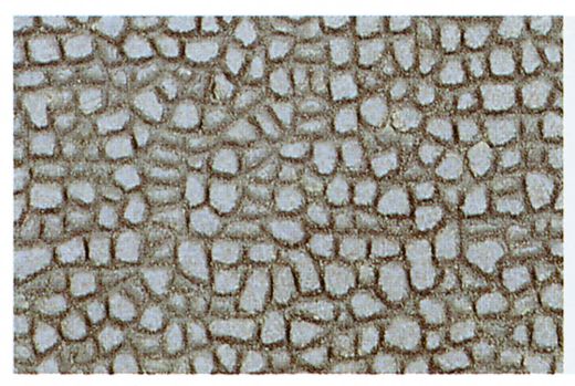 Heki 70162 Rundsteinmauer N/Z,28x14 cm, (Spur H0)
