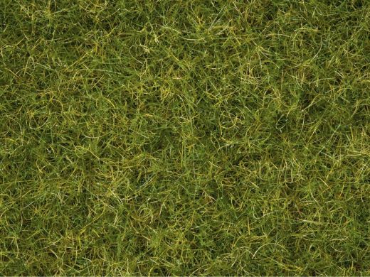 NOCH 7072 Master-Grasmischung Sommerwie (Spur H0)