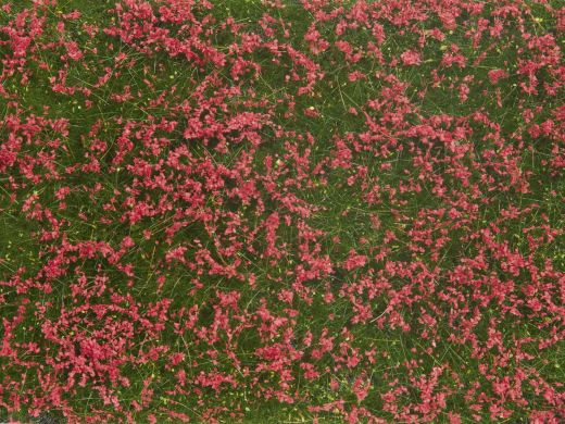 NOCH 7257 Bodend.-Foliage Wiese rot (Spur H0)