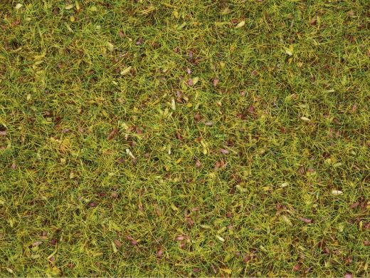 NOCH 8330 Streugras Blumenwiese, 2,5 mm (Spur H0)