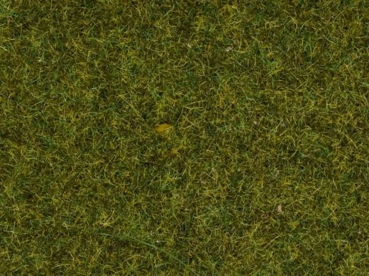 NOCH 8361 Streugras Wiese (Spur H0)