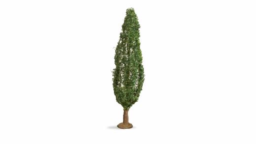 NOCH 20130 Pappel, 18 cm hoch (Spur H0)