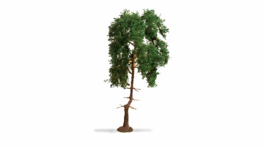 NOCH 20140 Kiefer, 15 cm hoch (Spur H0)