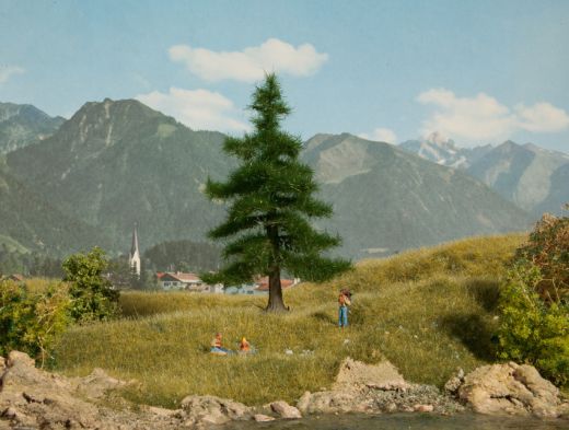 NOCH 21810 Nordmanntanne (Spur H0)