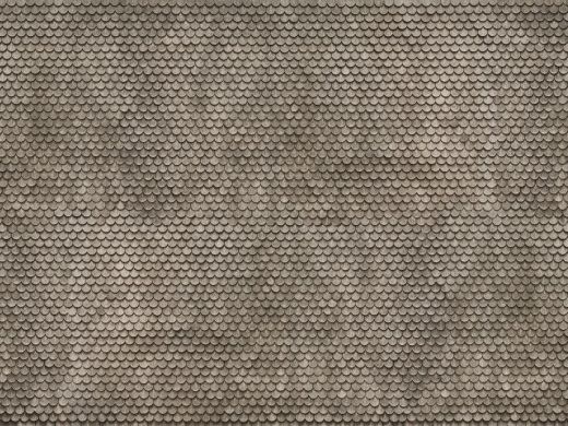 NOCH 56691 3D-Kartonplatte ÊBiberschwan (Spur H0)