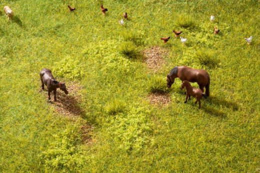 NOCH 60771 Vegetatins-Startset Wiese (Spur H0)