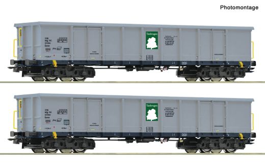 Roco 6600295 2er Set Eanos Tankwagon (Spur H0)