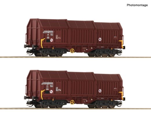Roco 6680009 2er Set Teleskophaubenwag. DR (Spur TT)