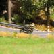 Busch 87506 Traktor Lanz mit Bauer TT (Spur TT)