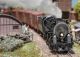 TRIX T25983 Dampflok 2-8-4 Berkshire (Spur H0)