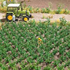Busch 1266 Kartoffelpflanzen H0 (Spur H0)