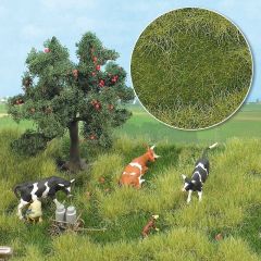 Busch 1306 Sommeraue, 2-farbig (Spur H0)