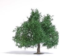 Busch 3662 Baum 95, Sommer H0 (Spur H0)