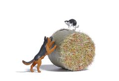 Busch 7920 A-Set: Hund jagt Katze H0 (Spur H0)