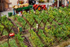 Faller 130611 Weinkellerei (Spur H0)
