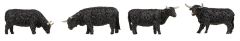 Faller 151957 Hochlandrinder, schwarz (Spur H0)