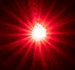 Faller 163740 5 selbstblinkende LEDs, rot (Spur H0)