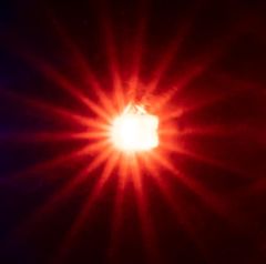 Faller 163741 5 selbstblinkende LEDs, orang (Spur H0)