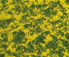 Faller 180463 PREMIUM Landschafts-Segment, (Spur H0)