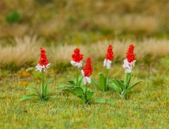 Faller 181267 32 Orchideenprimeln (Spur H0)