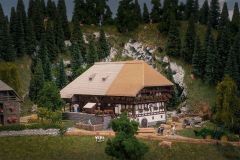 Faller 232010 Jubiläumsmodell Schwarzwaldho (Spur N)