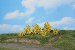 Heki 11800 6 Forsythiensträucher 3-6 cm