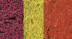 Heki 1585 decovlies Blumendecor bunt 28