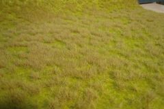 Heki 1840 realistic Wildgras Savanne, 4 (Spur H0)