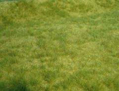 Heki 1841 realistic Wildgras Frühlingsg (Spur H0)